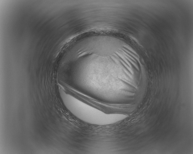 X0000052931016200507292346