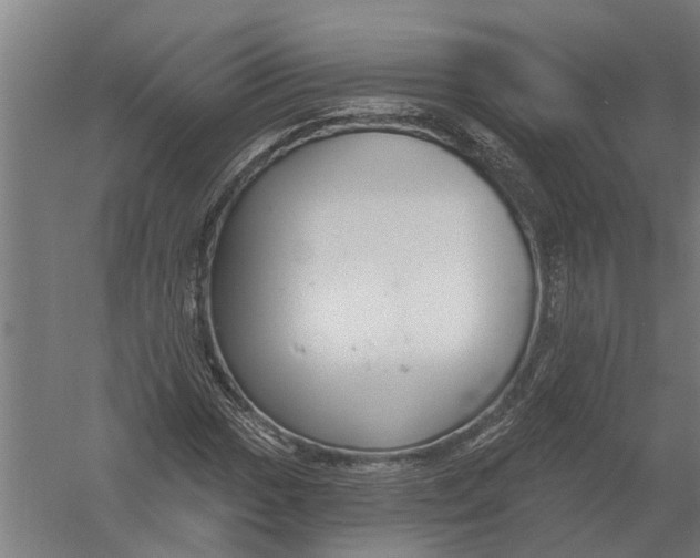 X0000052931017200507292346