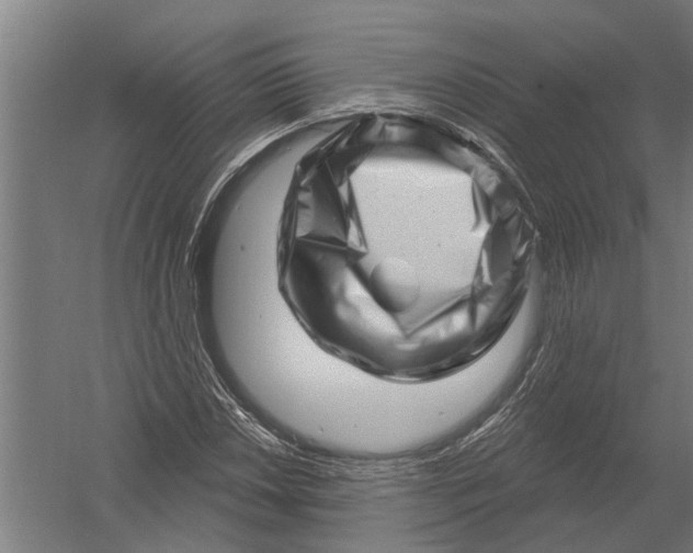 X0000052931018200507292346