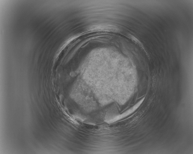 X0000052931019200507292346