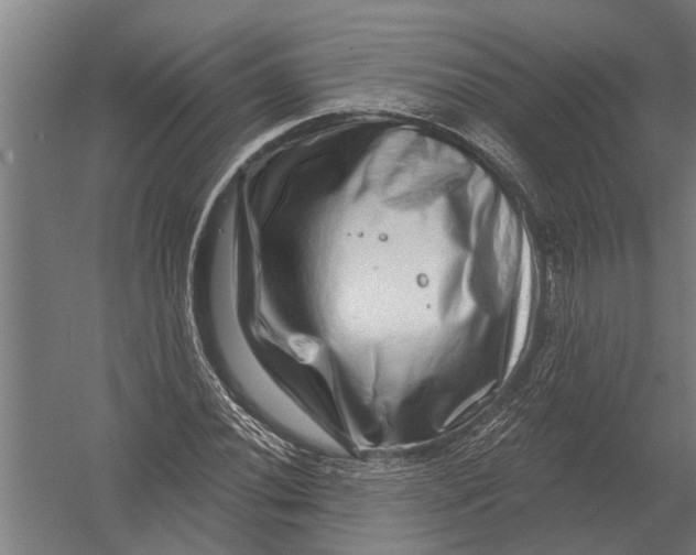 X0000052931020200507292346