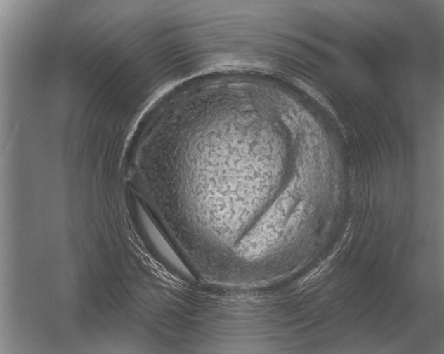 X0000052931021200507292346