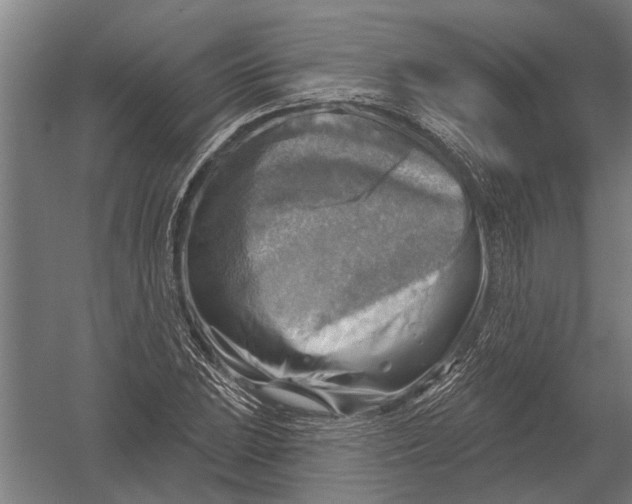 X0000052931023200507292346