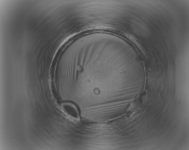 X0000052931024200507292346