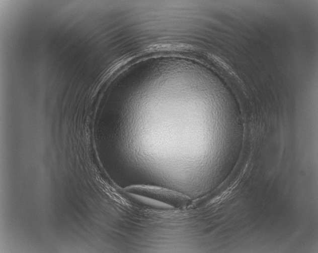 X0000052931025200507292347