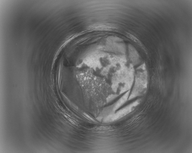 X0000052931027200507292347