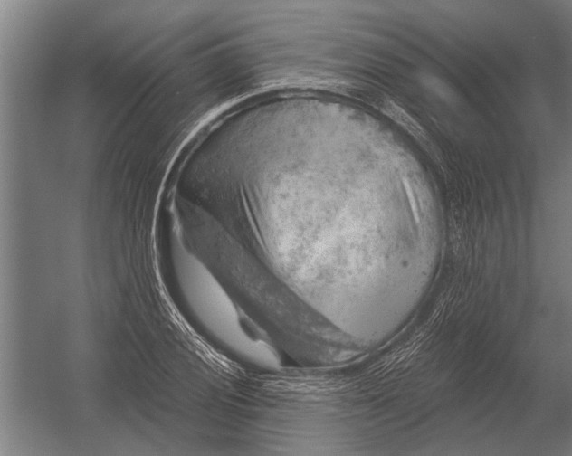 X0000052931028200507292347