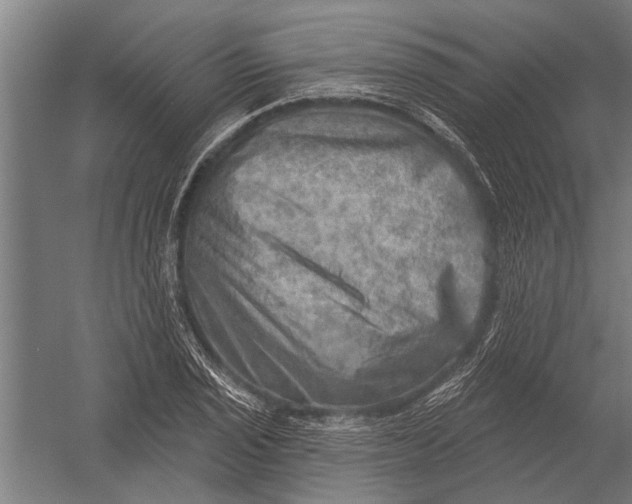 X0000052931029200507292347