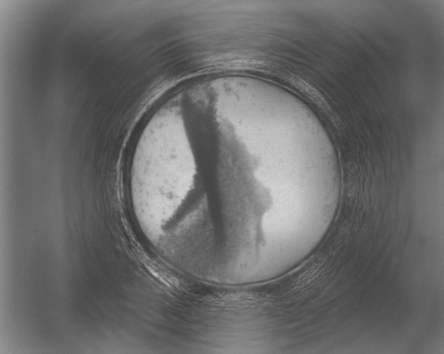 X0000052931031200507292347