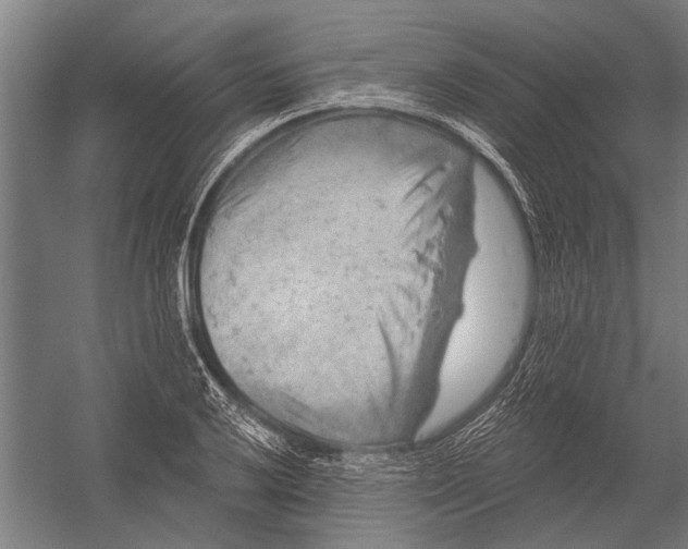 X0000052931032200507292347