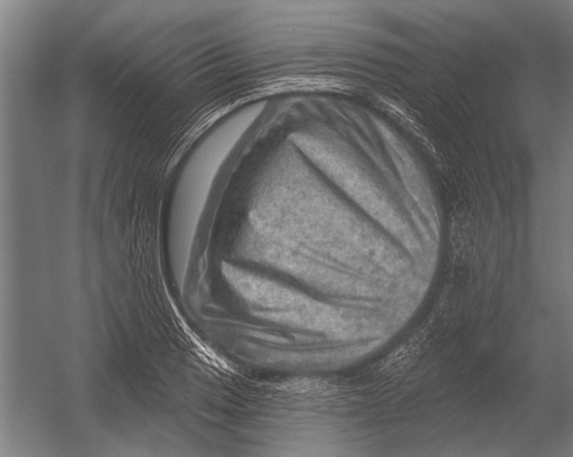 X0000052931033200507292347