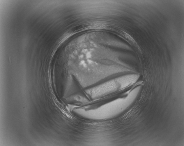 X0000052931035200507292347