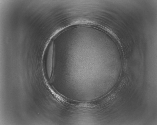 X0000052931037200507292347