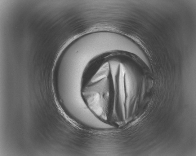 X0000052931038200507292347