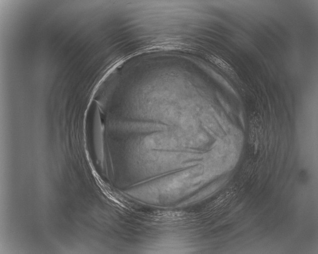 X0000052931039200507292347