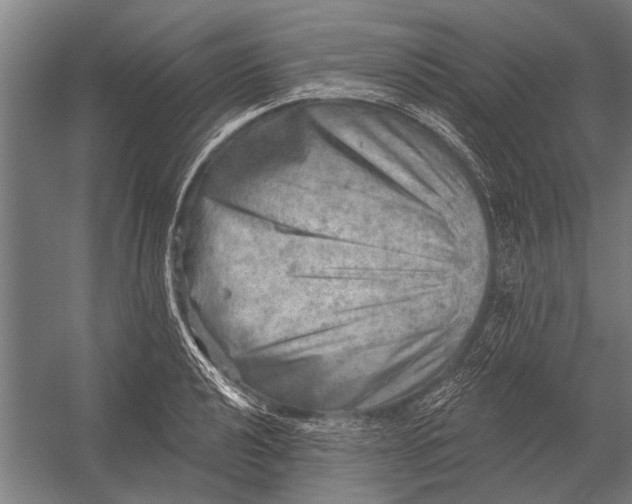 X0000052931040200507292347