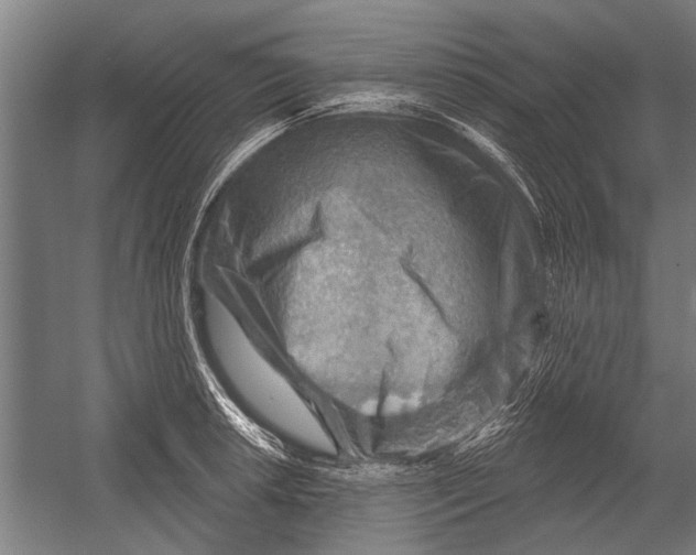 X0000052931042200507292347