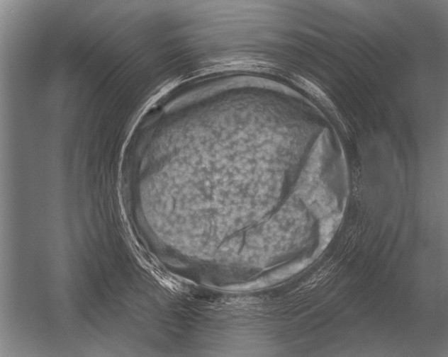 X0000052931043200507292347