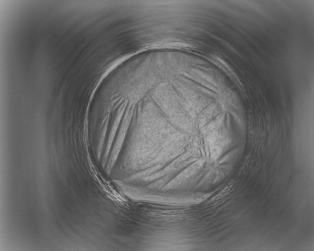 X0000052931044200507292347