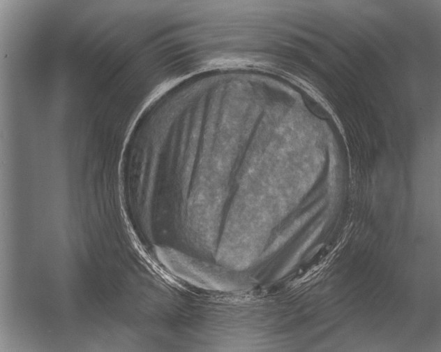 X0000052931045200507292347