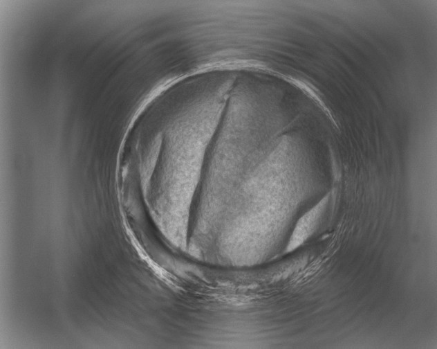 X0000052931046200507292347