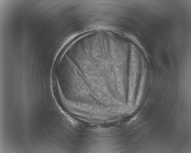 X0000052931048200507292347