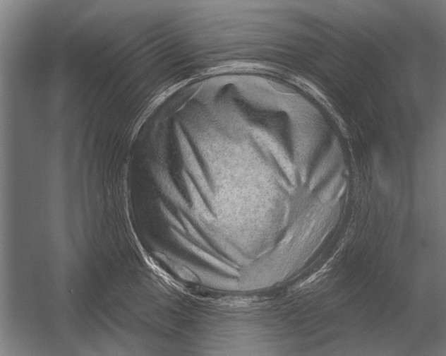 X0000052931049200507292347