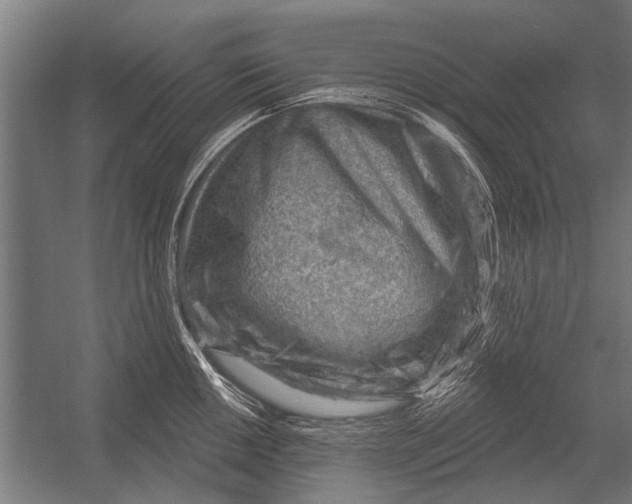 X0000052931050200507292347