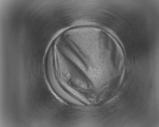 X0000052931053200507292347