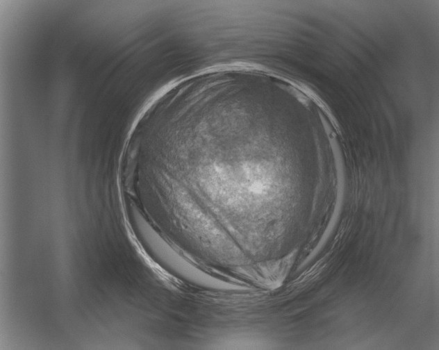 X0000052931054200507292347