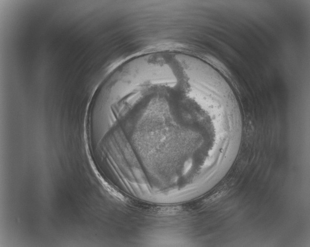 X0000052931055200507292347