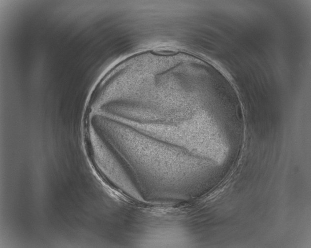 X0000052931056200507292347