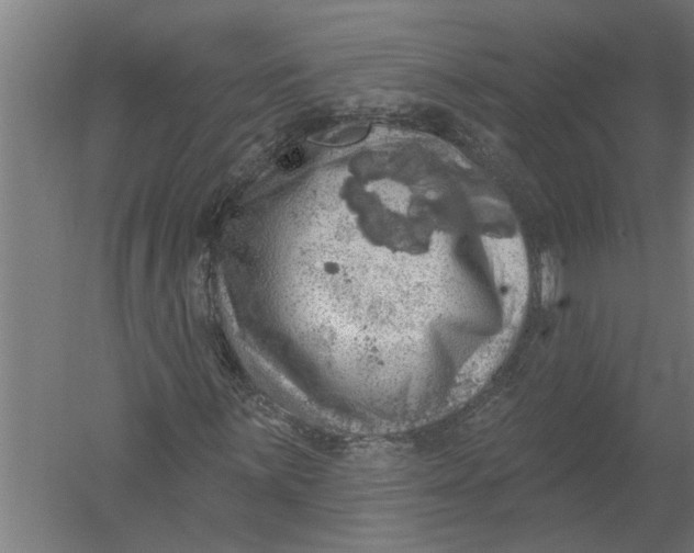 X0000052931059200507292346