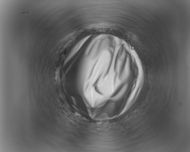 X0000052931062200507292346