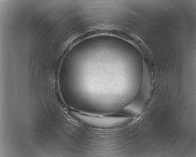 X0000052931065200507292346