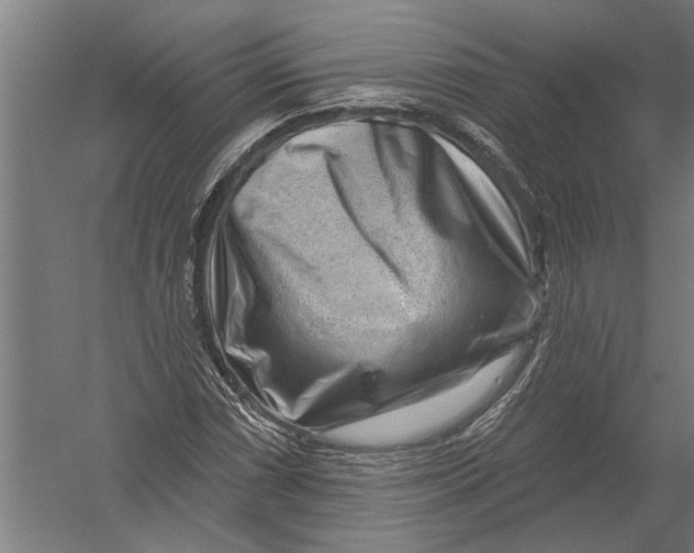 X0000052931066200507292346