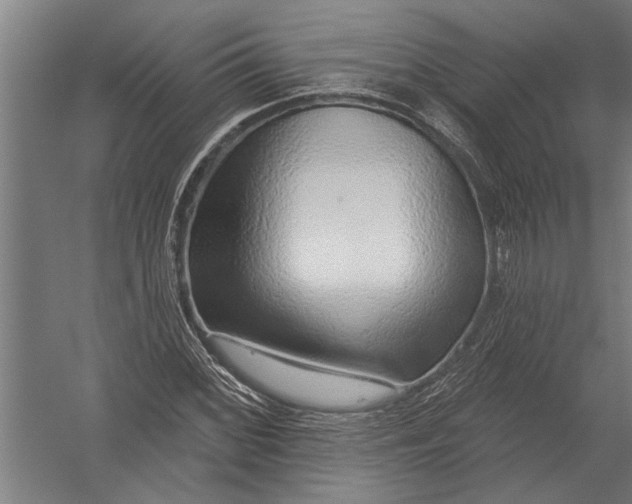 X0000052931068200507292346