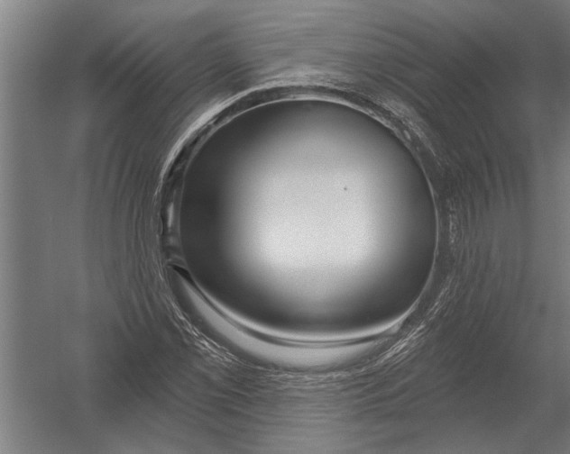 X0000052931069200507292346