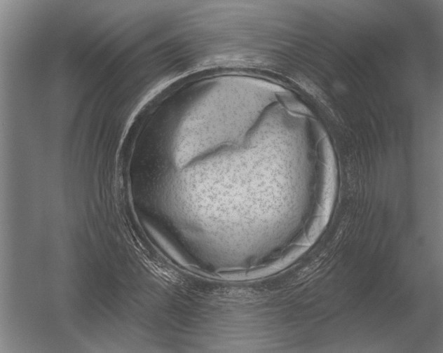 X0000052931070200507292346