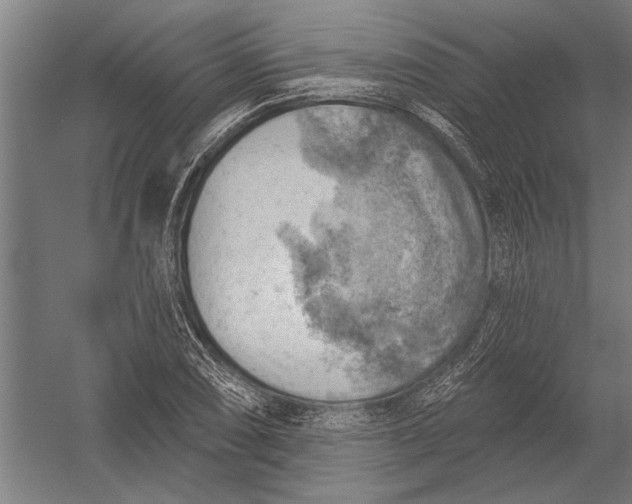 X0000052931074200507292346