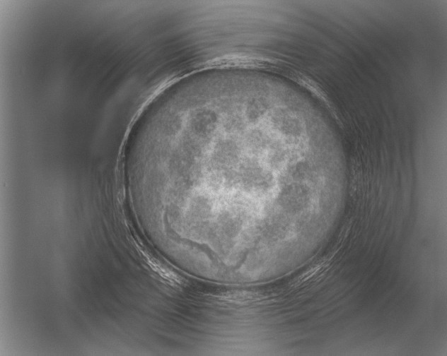 X0000052931075200507292346