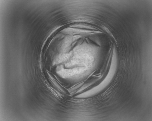 X0000052931076200507292346