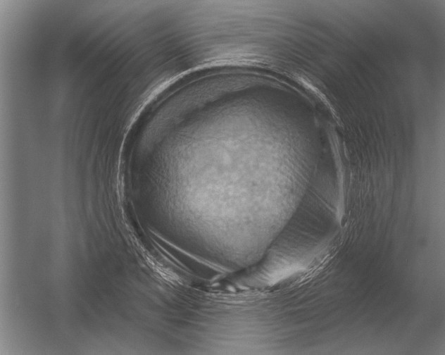 X0000052931077200507292346