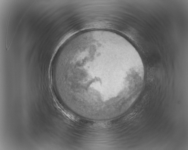 X0000052931078200507292346