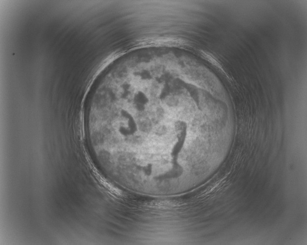 X0000052931079200507292346