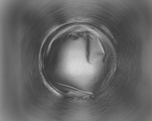 X0000052931080200507292346