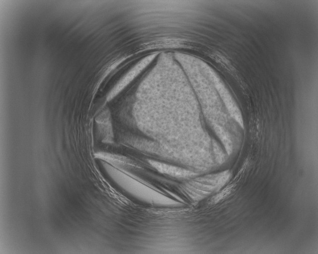 X0000052931081200507292346