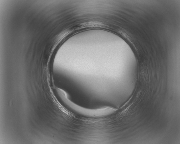 X0000052931082200507292346