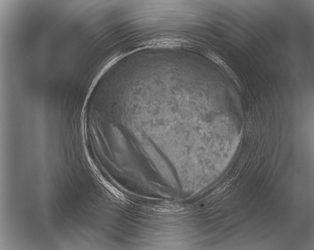 X0000052931083200507292346