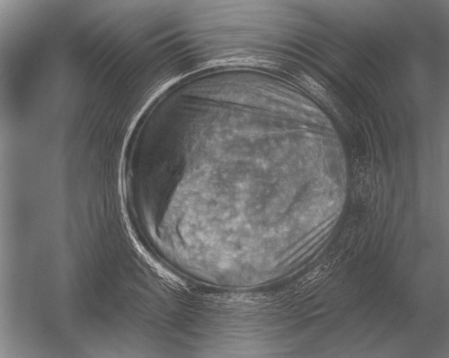 X0000052931084200507292346